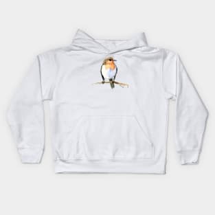 Robin Kids Hoodie